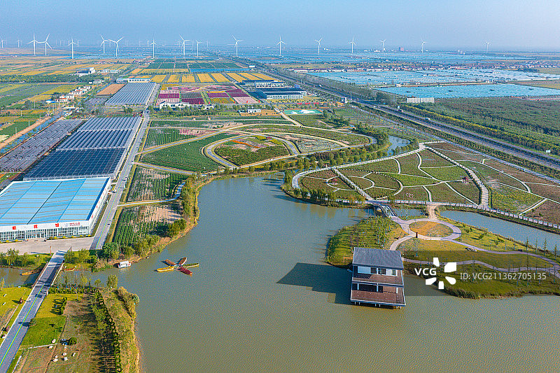 江苏省盐城市射阳县十里菊香（鹤乡菊海）景区图片素材