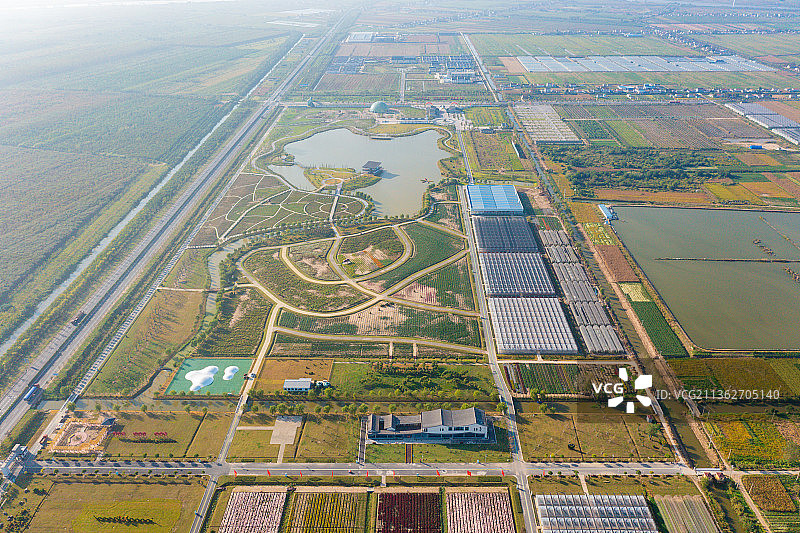 江苏省盐城市射阳县十里菊香（鹤乡菊海）景区图片素材