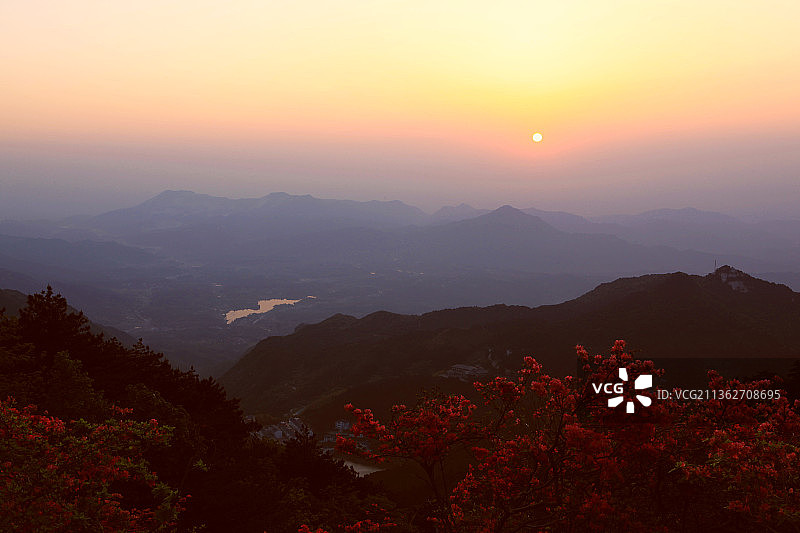 花海夕照图片素材
