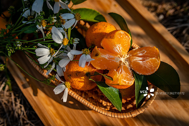 中国广东省肇庆四会砂糖桔图片素材