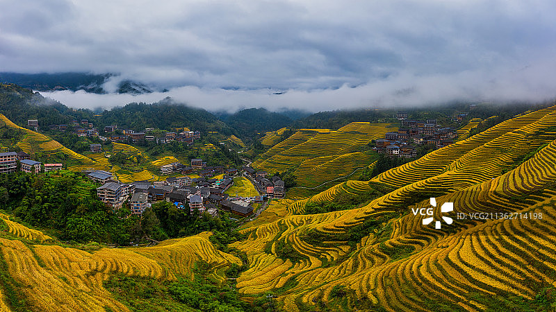 龙脊梯田秋季金色稻田云海唯美风光图片素材