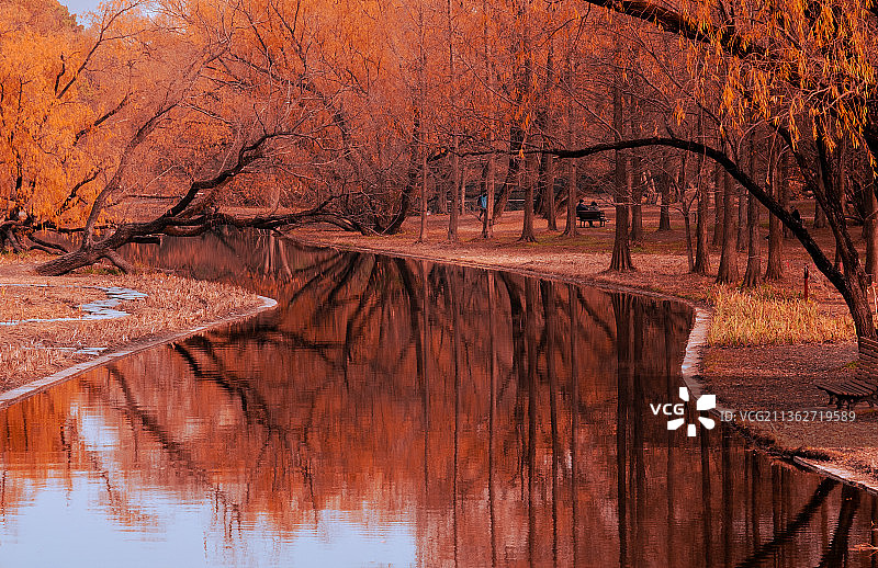 上海共青森林公园秋天图片素材