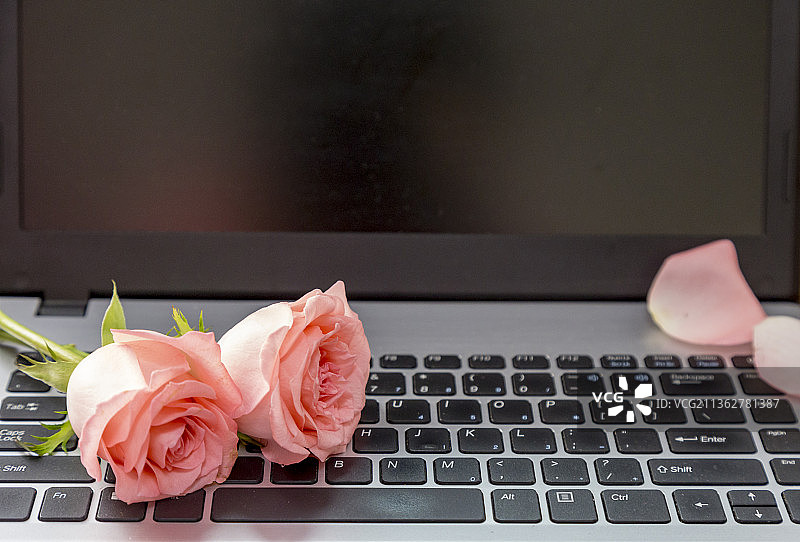 笔记本电脑上放着两朵粉红色玫瑰花图片素材