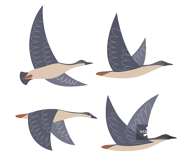 大雁元素图片素材