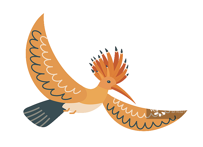 戴胜鸟元素图片素材