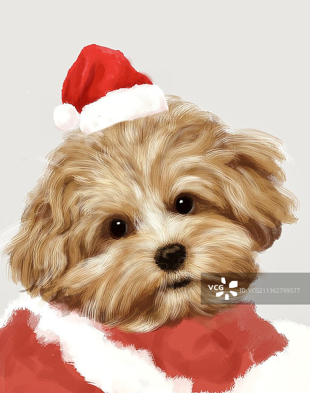 圣诞狗狗头像图片素材