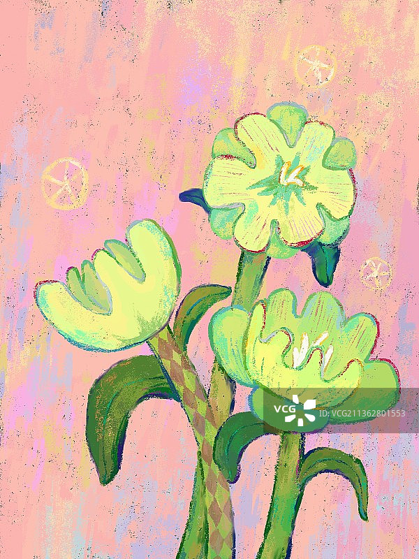 十二张厚涂风花卉治愈插画图片素材