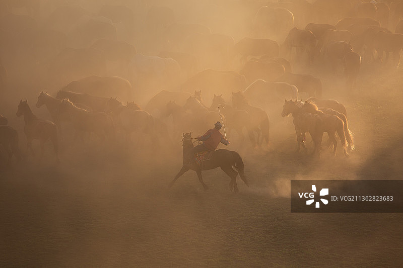 马队迎战沙尘暴图片素材