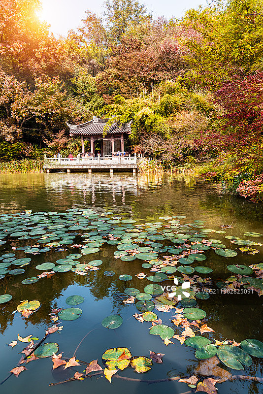 秋天中国南京栖霞山的桃花涧和珍珠泉亭图片素材