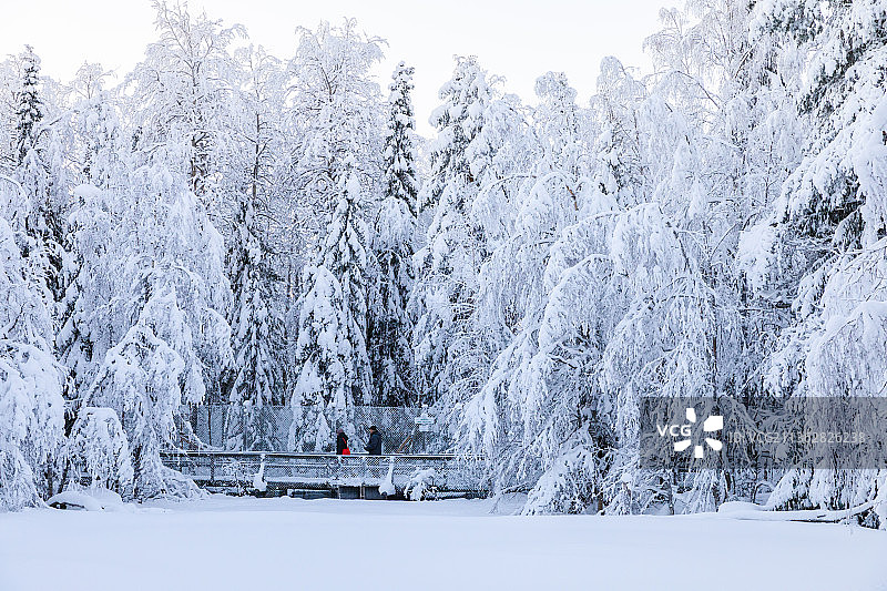 芬兰拉普兰罗瓦涅米拉努阿野生动物园图片素材