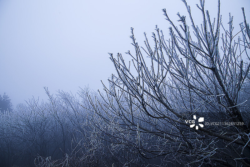 湖南衡山冬天的雾凇图片素材
