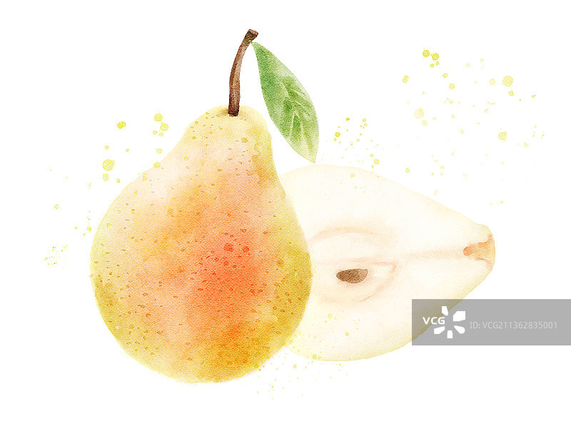 梨子水彩插画图片素材