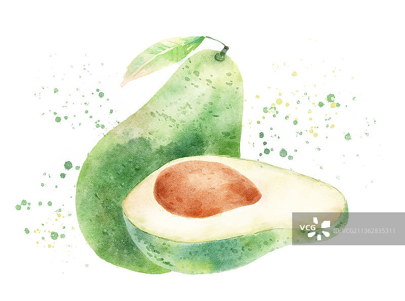 牛油果水彩插画图片素材
