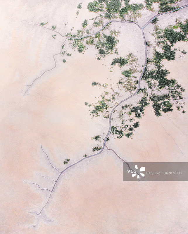 盐城大丰 黄海湿地 航拍 黄海野鹿荡 麋鹿栖息地 湿地滩涂 自然保护区图片素材