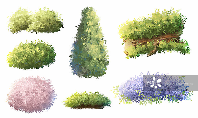 植物素材图片素材