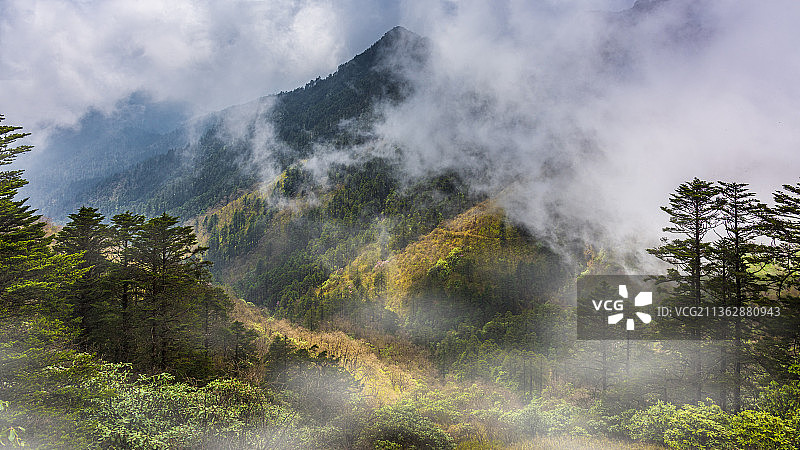 雾里看山图片素材