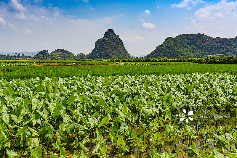 桂林平乐县的一处田园风光图片素材