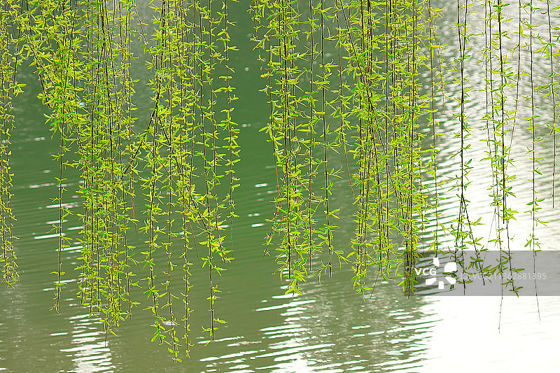 【清明】24节气图片素材