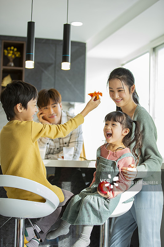 一家四口在开敞厨房嬉戏图片素材
