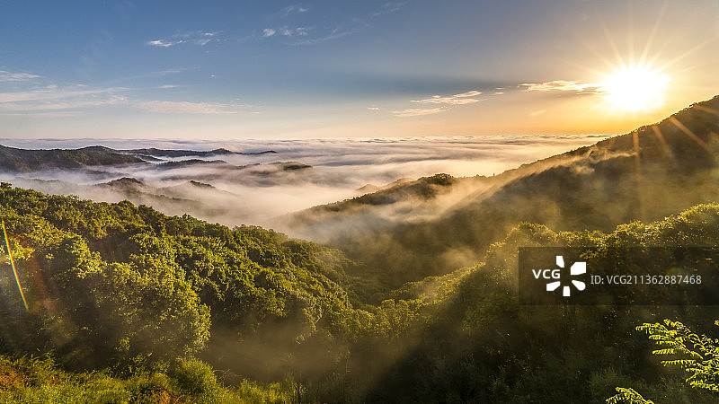 日出时群山被云海铺盖图片素材