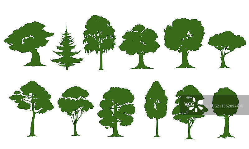 森林和花园树木的孤立树剪影图片素材