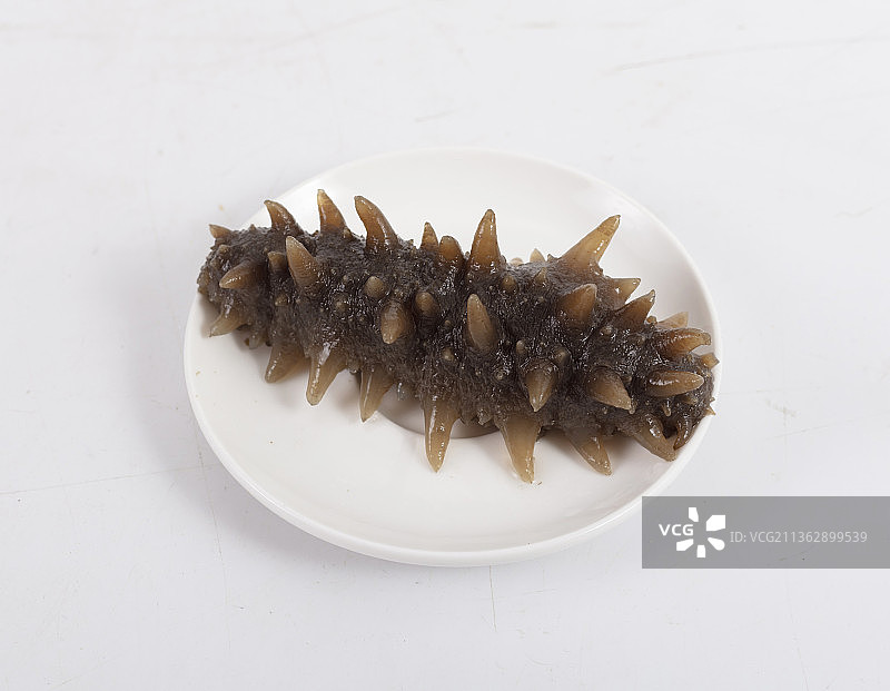 白色背景，白色盘子，一个海参图片素材