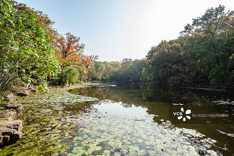 中国南京灵谷寺的红山门灵谷胜境图片素材