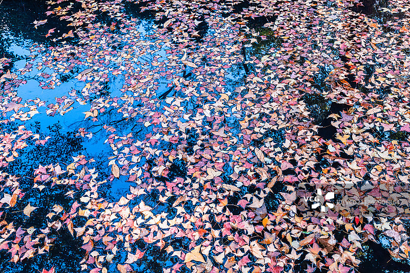 中国南京灵谷寺的红山门灵谷胜境图片素材