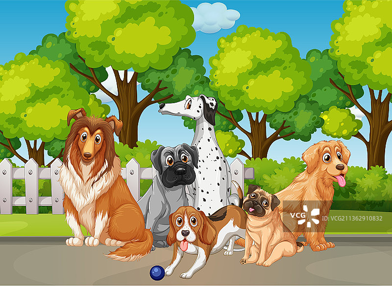 有许多不同狗的公园自然场景图片素材