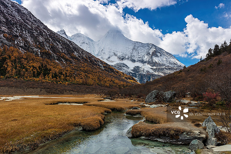 四川甘孜，稻城亚丁，央迈勇，仙乃日，夏诺多吉，秋天，冷杉图片素材