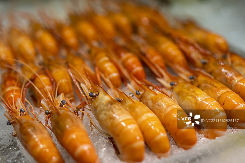 牡丹虾刺身图片素材