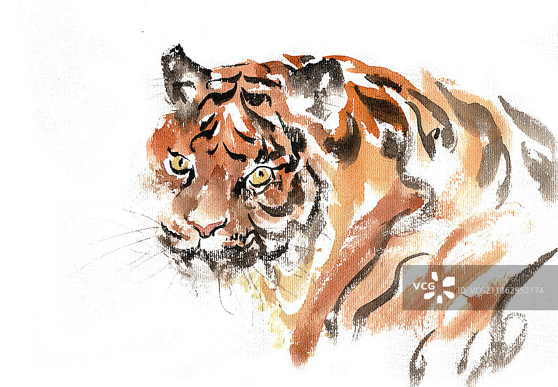 威武的老虎图片素材