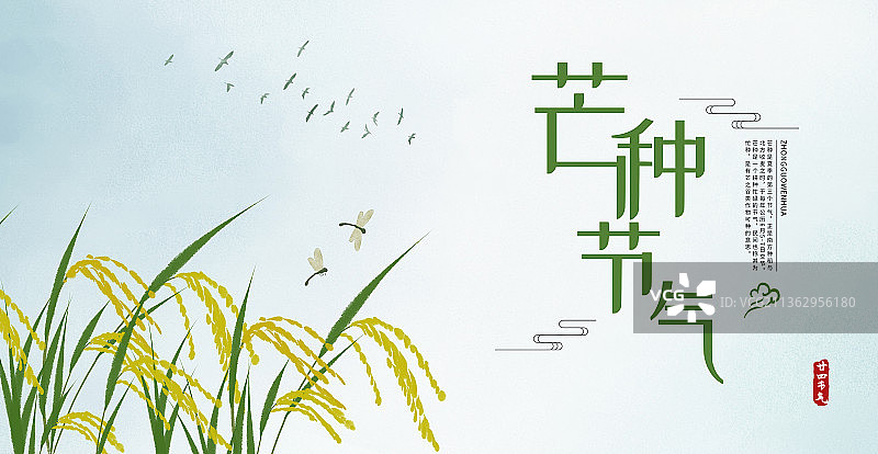芒种二十四节气中式插画展板图片素材