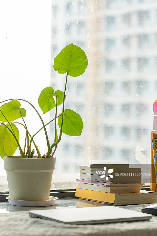 窗台上的电脑和书图片素材