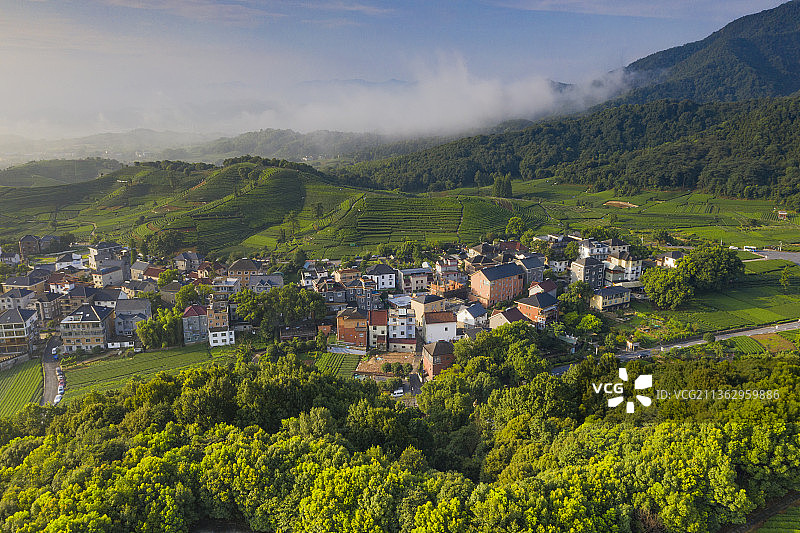 杭州龙坞镇西山森林公园图片素材