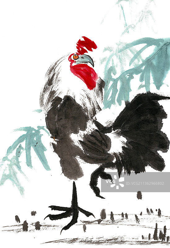 威武的雄鸡图片素材