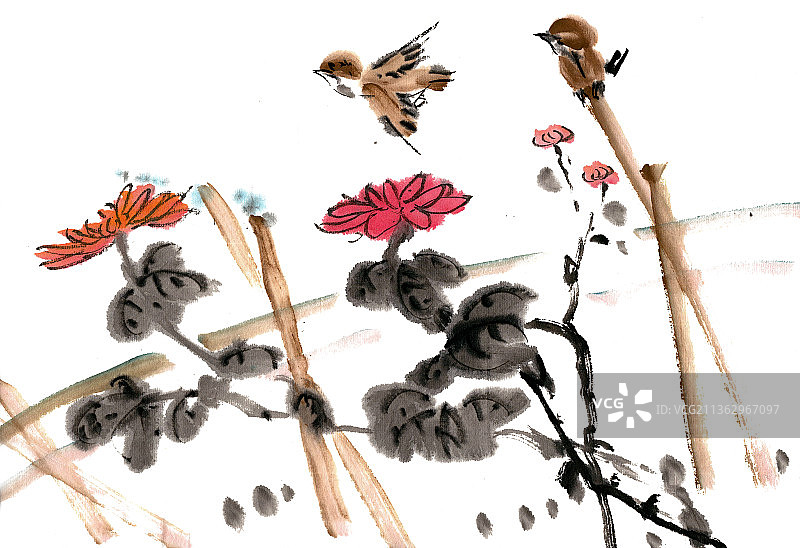 菊花与麻雀图片素材