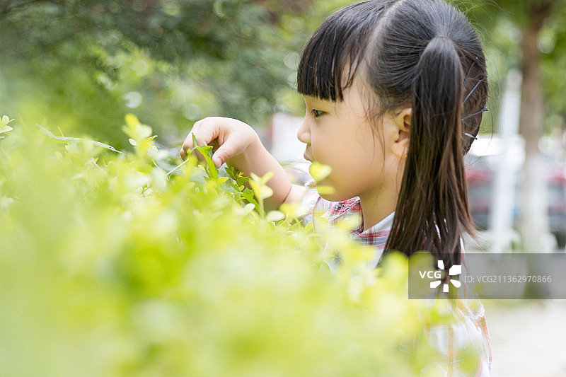 户外站在绿色树叶前的小女孩图片素材
