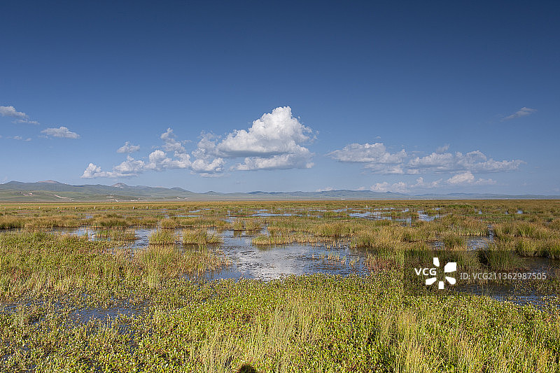 花湖风光图片素材