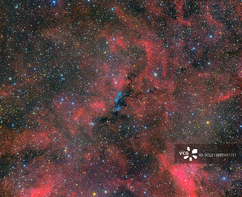天鹅座广域星云图片素材
