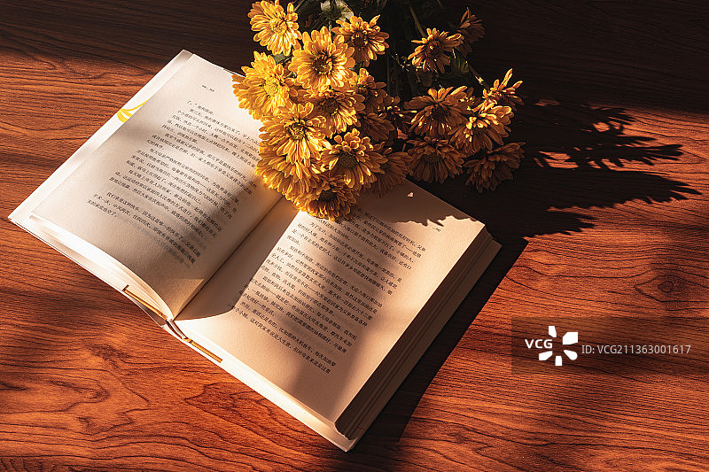 阳光照射下放在桌子上的书和花图片素材
