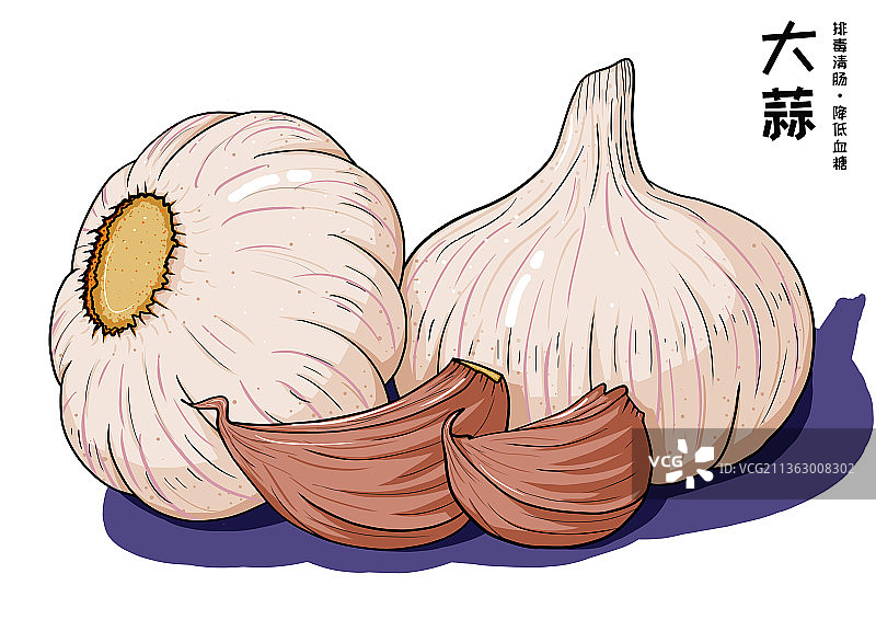 大蒜的功效图片素材