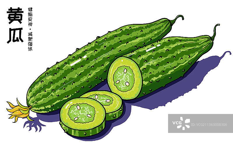 黄瓜的功效图片素材