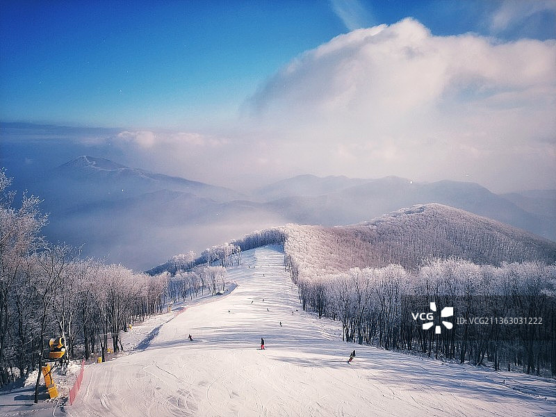 滑雪 雾凇 雪图片素材