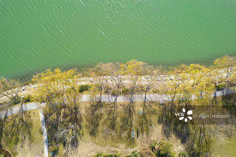 河南省新乡市平原新区凤湖风景区图片素材