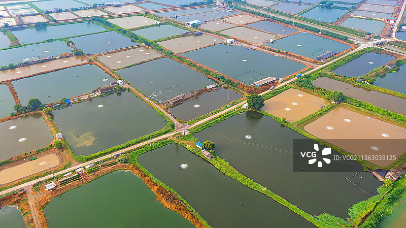 航拍航拍广东肇庆鼎湖区沙浦镇典三村文㞧塱图片素材