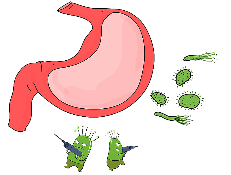 手绘卡通漫画元素幽门螺杆菌引起胃疼图片素材