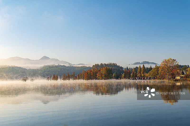 奇墅湖的秋色晨雾图片素材