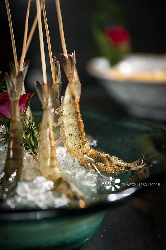 斑节虾图片素材