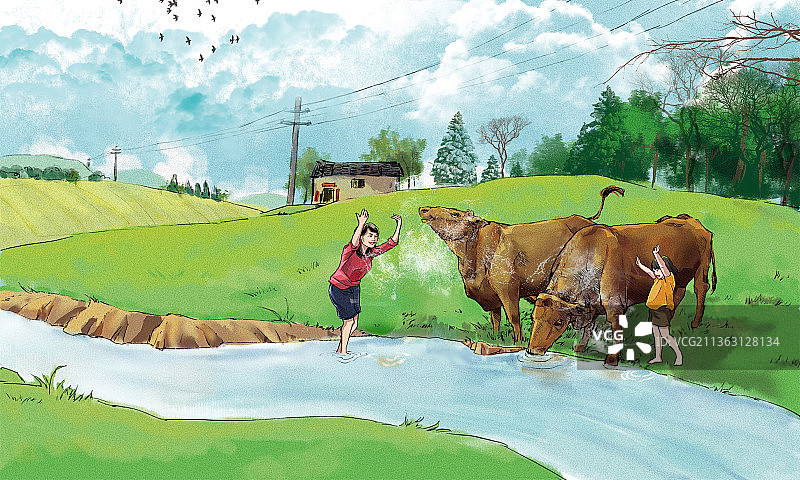 放牛的女孩在河边戏水图片素材
